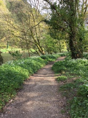 Riverside Stay Gunnislake Eksteriør bilde