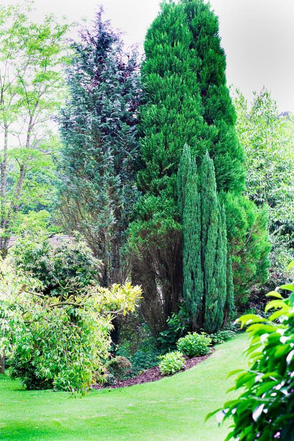 Riverside Stay Gunnislake Eksteriør bilde
